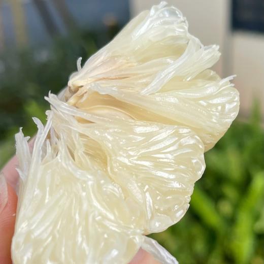 江永老树沙田柚（香柚）中国香柚之乡 商品图1