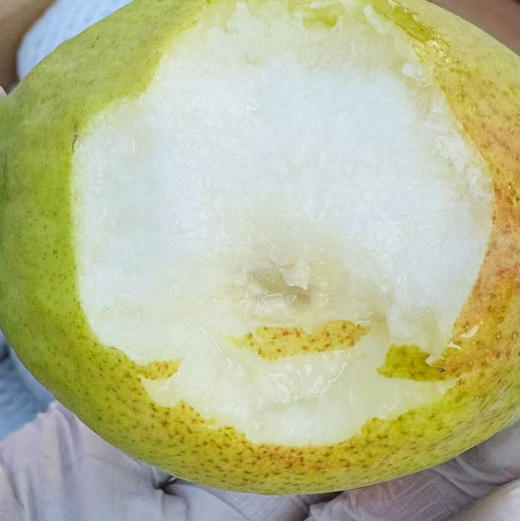 【新库尔勒香蜜梨】如清泉般甘洌，如蜂蜜般香甜，就是这个味！ 商品图9