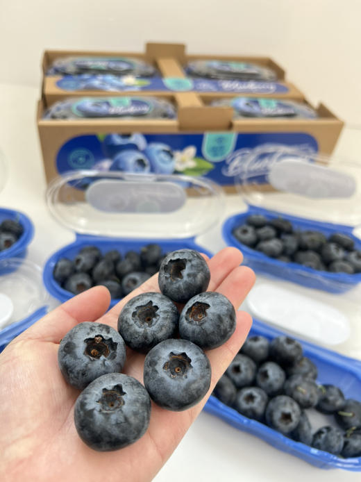 云南钻石蓝莓🫐，纯甜、个大、果粉足 商品图4