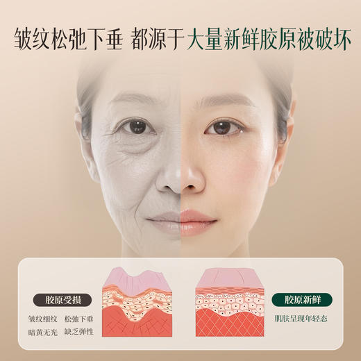 【抗皱紧致28天15效】纯素素僖酵母菌溶胞物紧致面膜（买面膜赠送1四季款小面霜(5g)+1面膜片） 商品图1