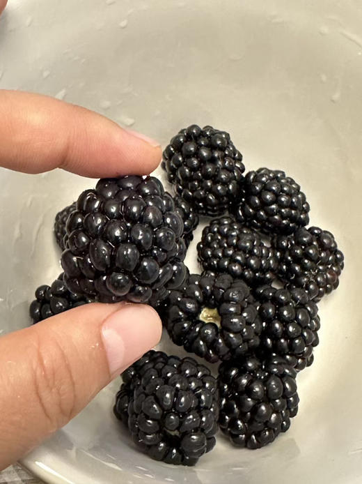 黑莓，基地自采，没用怡颗莓的标，性价比高 商品图1