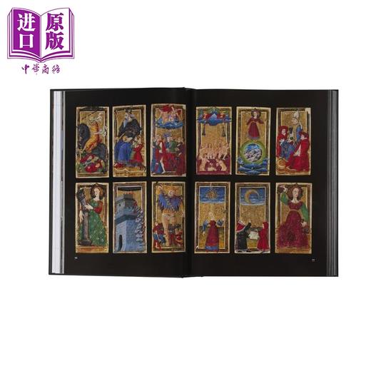 【中商原版】FMR Franco Maria Ricci 进口艺术 FMR 弗兰科 玛丽亚 里奇：美的迷宫 商品图4