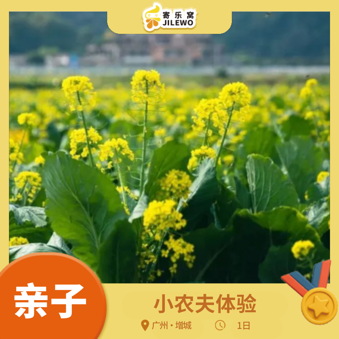 【季节限定】1月2日 增城·小农夫体验 亲子活动1日 | 采摘迟菜心、挖红薯烤红薯、卡丁车竞速、丛林穿越、真人CS精英战场、骑马体验