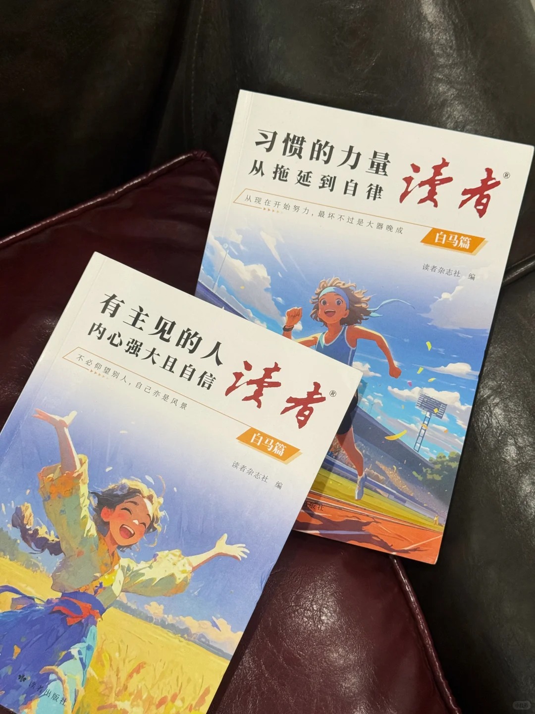 【2025新版】读者·白马篇（全2册）有主见的人内心强大且自信、习惯的力量从拖延到自律 读者励志丛书