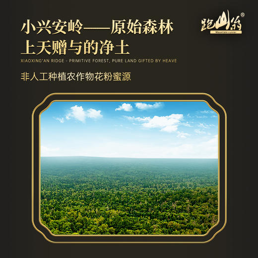 椴树雪蜜（100%小兴安岭深山成熟原蜜） 商品图5