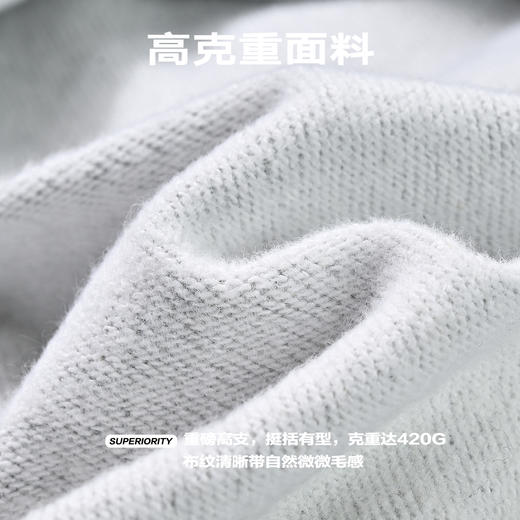 NPC潮牌字母贴布线迹绣花休闲圆领卫衣高克重宽松男潮流NP41ST22 商品图4