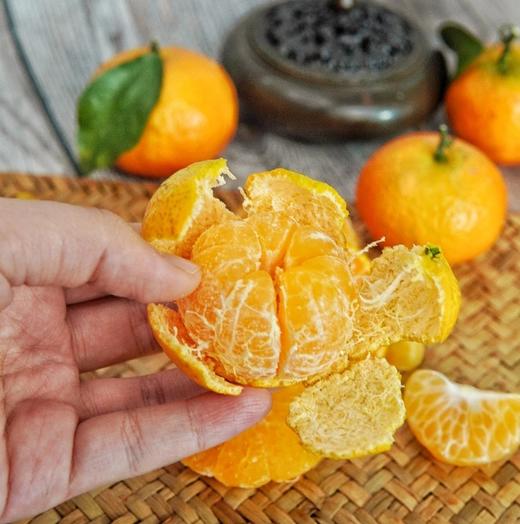 20号后开始发货【手心砂®广东树熟绿色砂糖橘】 时间甜满260天，自然安心每一口😆  有橘味不寡淡❗果肉扎实入口化渣，纯甜爆汁👍不管是给娃当零嘴，还是全家分享，好吃放心吃👍口碑之选！ 商品图0