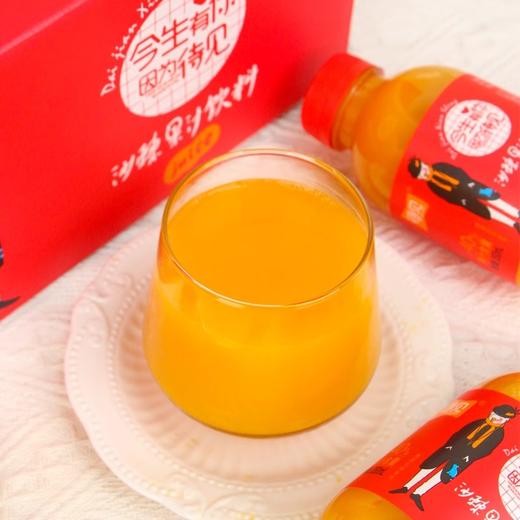 PET标箱沙棘汁350ml*10 商品图3