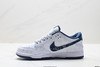 耐克NIKE DUNK LOW低帮休闲运动板鞋DD1391-122男女鞋 商品缩略图2