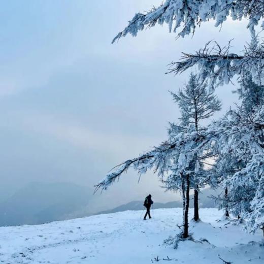 周末1天【老龙窝】达摩村-马栏林场-踏雪赏雾凇-邂逅林海雪原 商品图0