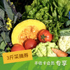 绿手指有机农园丙午马年春节3斤蔬菜采摘券 商品缩略图0