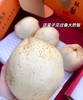 周四取货：【订金链接】璞酥梨，特惠8.8元/斤，一份2个，纯甜无渣！汁水狂多！ 商品缩略图1
