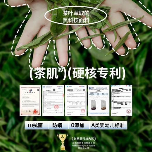 F1-4条装【茶肌专利】【0重金属抑菌】润微裸感透气无痕轻收腹中腰内裤女士内裤   茶棉裤+茶语裤+小云朵 商品图3