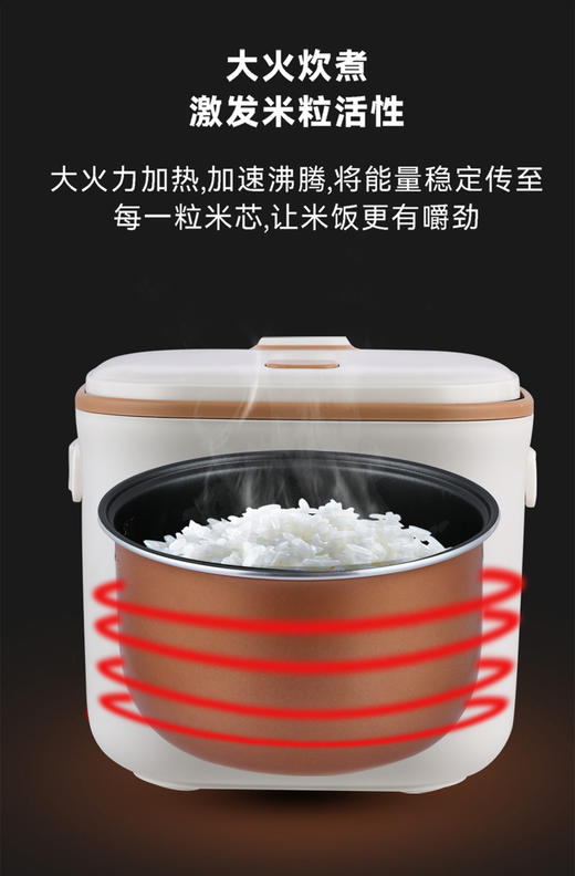 艾贝丽智能电饭煲ABL-FBZ31 商品图4