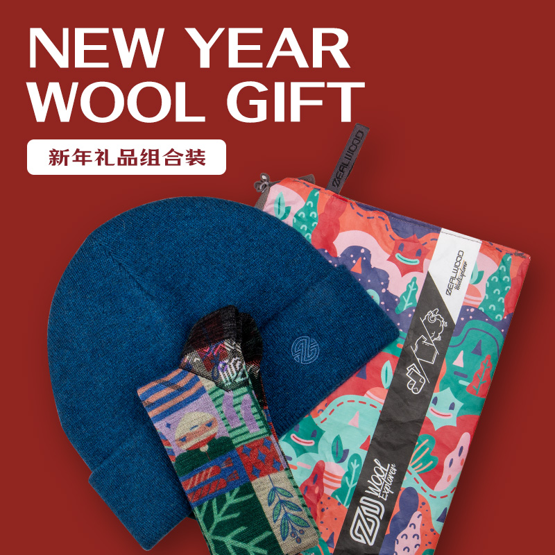 赛乐新年礼品组合套装美丽诺羊毛圣诞节元旦春节旅行礼包帽袜