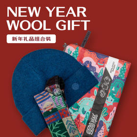 赛乐新年礼品组合套装美丽诺羊毛圣诞节元旦春节旅行礼包帽袜