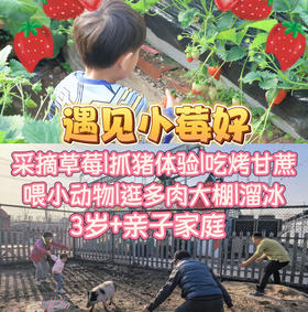 【一日营·12月27日-2月23日】遇见小莓好，采摘草莓，抓猪大作战，吃烤甘蔗，公益时长2小时，香甜与野趣的亲子冒险!
