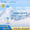 雪都冰泉低氘水500ml*24瓶/箱 商品缩略图0