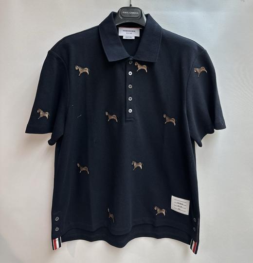 男款短袖polo衫he022 商品图0