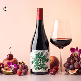 【积分兑换】中国宁夏天得龙驿酒庄 赤霞珠混酿干红葡萄酒 合家欢首选 少见陶罐陈酿