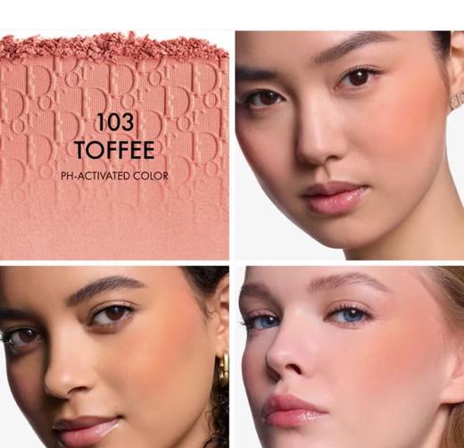 【订单实付低于299元，不发货】迪奥 克丽丝汀迪奥后台彩妆瑰色蕴采腮红 103  E000000577-F 商品图1