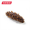 美集臻品 一级即食海参8-10头 约500g【包邮直发】 商品缩略图0