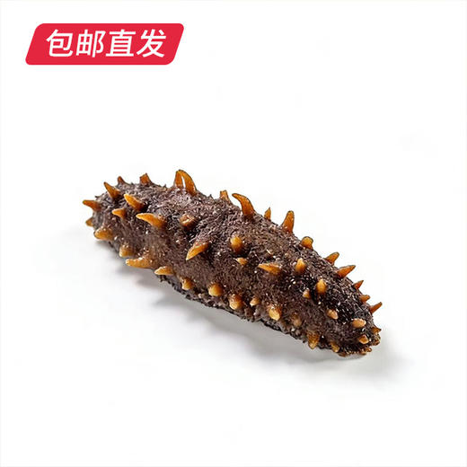 美集臻品 一级即食海参8-10头 约500g【包邮直发】 商品图0