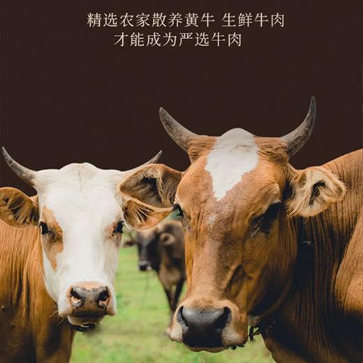 【潮汕牛肉火锅20件套】鲜肉现切，急速锁鲜，移动火锅在家轻松涮~ 商品图1