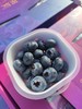 星辰杯蓝莓，香甜，果粉足，富含花青素，改善视力，汁多味美，个人口感问题不退换 商品缩略图5