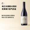 企鹅市集|神之水滴同款 圣果古堡隆河谷西拉干红 WS百大酒款 商品缩略图0