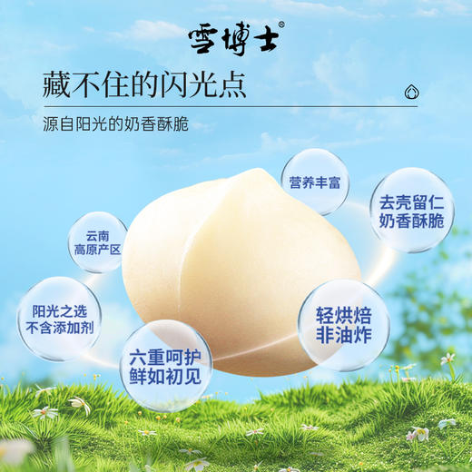 有机夏威夷果仁200克/瓶 商品图2