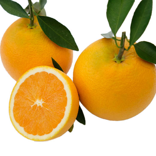 九月红果冻橙 商品图3
