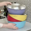 316食品级26cm大盆送盖【316食品级26CM多用盆】带玻璃盖 四色🉑️选,带刻度➕冷热可用♨️耐磨耐造可进洗碗机 商品缩略图0