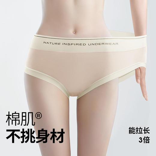 F1-4条装【茶肌专利】【0重金属抑菌】润微裸感透气无痕轻收腹中腰内裤女士内裤   茶棉裤+茶语裤+小云朵 商品图8