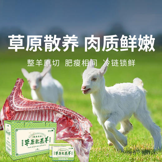 【半只羊礼盒】精品原切乳羔羊 保留纯正羊本味 肉质鲜美 不腥不膻 简单烹饪 畅享美味 商品图0