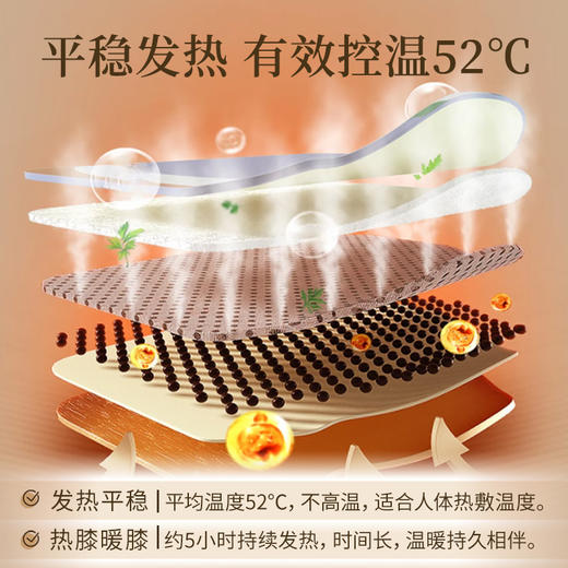 雷允上·艾草暖膝贴3盒共18贴 商品图5