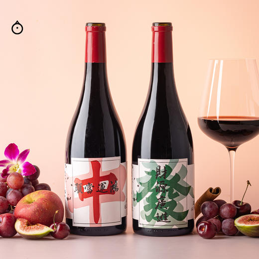 企鹅市集|中国宁夏天得龙驿酒庄 赤霞珠混酿干红葡萄酒 合家欢首选 少见陶罐陈酿 商品图1