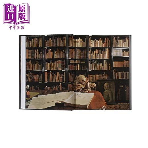 【中商原版】FMR Franco Maria Ricci 进口艺术 FMR 弗兰科 玛丽亚 里奇：美的迷宫 商品图2