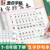 小学生练字专用墨点同步练字帖生字抄写本人教版语文课本一二三四五六年级上册下册笔画笔顺描红初中生七八荆霄鹏硬笔书法正楷字帖 商品缩略图1