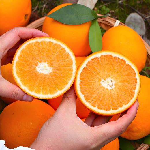 赣州 赣南脐橙净重9斤 商品图0