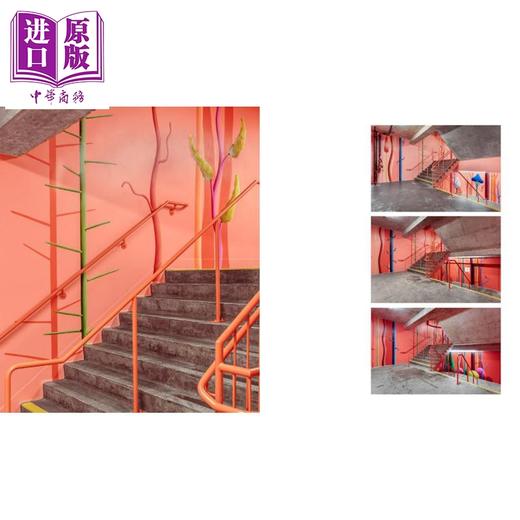 【中商原版】Nicolas Party: Murals 进口艺术 尼古拉斯派蒂：壁画 H&W 商品图3