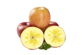 【杨博士甄选】新疆阿克苏冰糖心苹果4.5斤 多仓发货