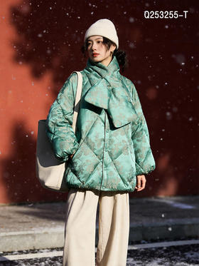 Q253255-T羽绒服95白鸭绒