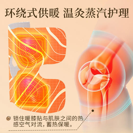 雷允上·艾草暖膝贴3盒共18贴 商品图2