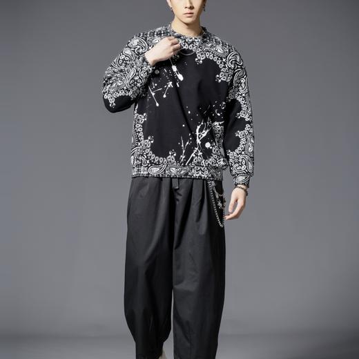 PINLI品立2025秋季新款男士宽松圆领印花加绒加厚套头卫衣上衣潮B253109096 商品图4