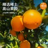 24度赣南脐橙10斤优级礼盒装（直径70-80mm） 商品缩略图2