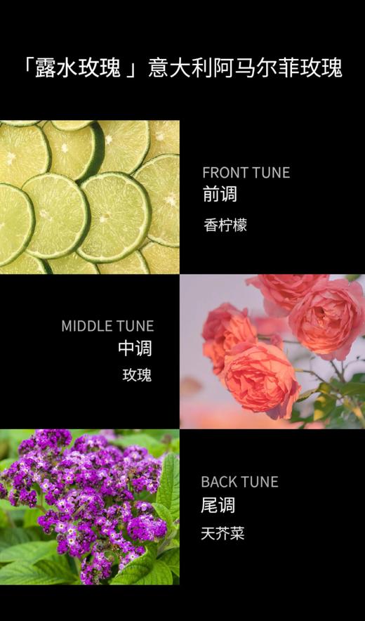 TOMFORD 意大利阿马尔菲玫瑰(30ml) 商品图1