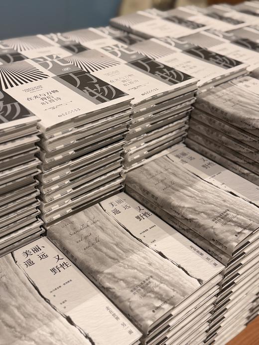 【作者亲签版】【套装立减】《美丽、遥远又野性》、《在光与万物背后：81首诗》。当代德国文坛重量级作家马蒂亚斯·波利蒂基亲笔签名。（预售计划12月底发货） 商品图7