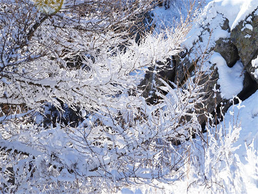 【徒步西南灵山1日】灵山终极挑战-西南灵16公里穿越<中级> 商品图2