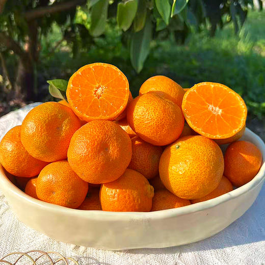 『广西砂糖橘』带叶发货，莹润饱满，甜美脆嫩，无核化渣，清新可口，小巧玲珑 商品图3